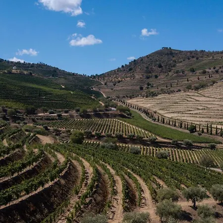 Апартаменты Rent4rest Douro Family 2bd *