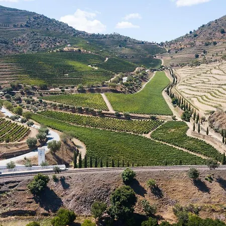 Rent4rest Douro Family 2bd *