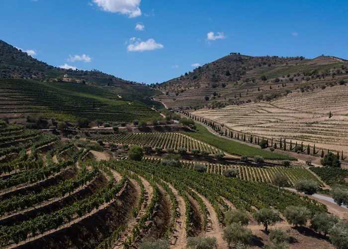 アパート Rent4rest Douro Family 2bd *