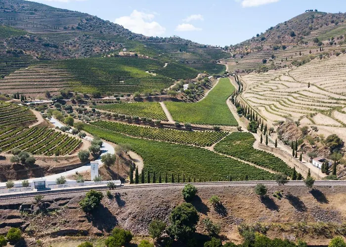 Rent4rest Douro Family 2bd *